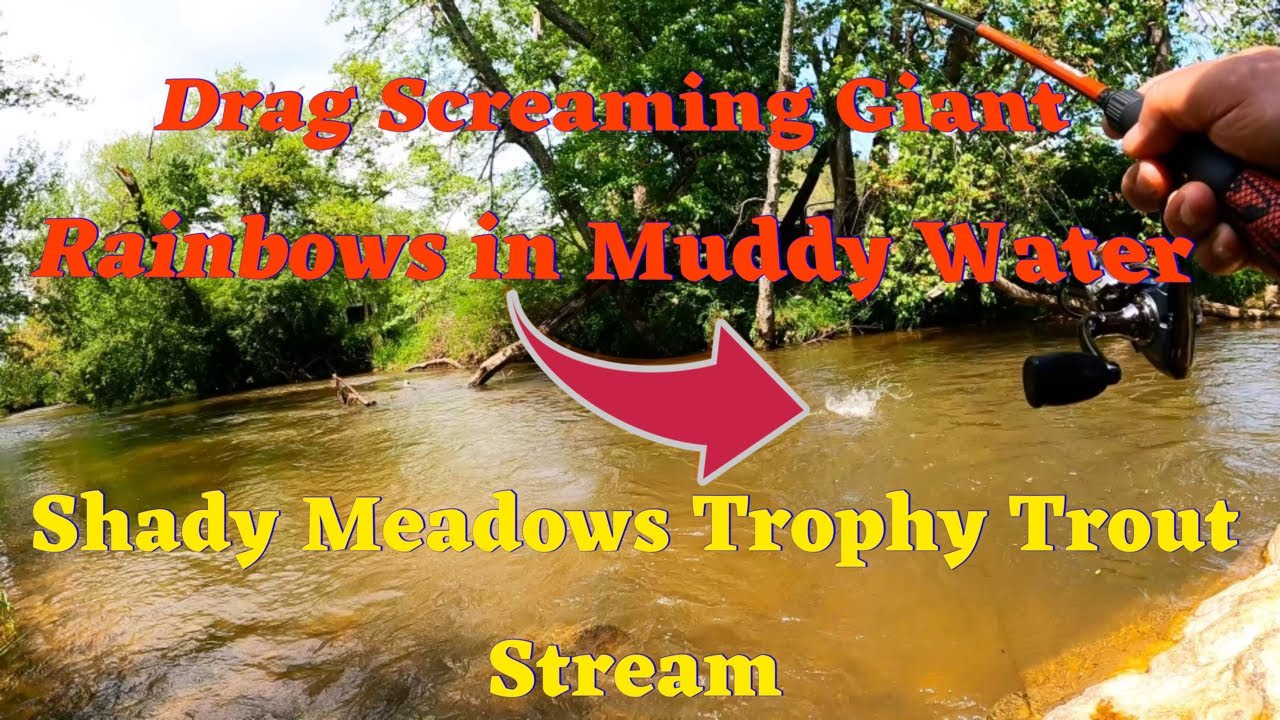 SHADY MEADOWS TROPHY TROUT STREAM! Fishing MUDDY water and CATCHING the Virginia Trout Slam!