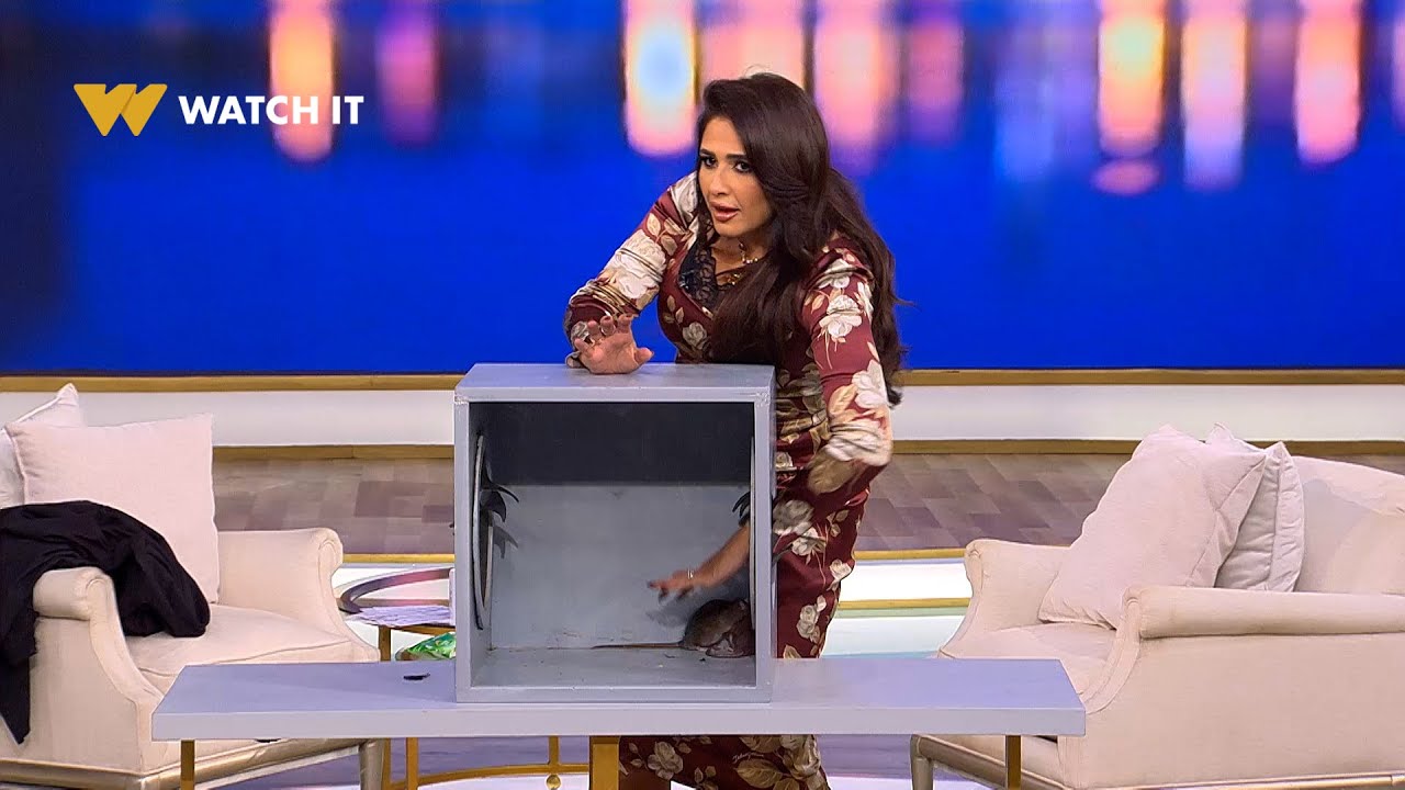معكم | الاستوديو كله مش مصدق اللي #ياسمين_عبدالعزيز عملته مع اللي في الصندوق 🤯