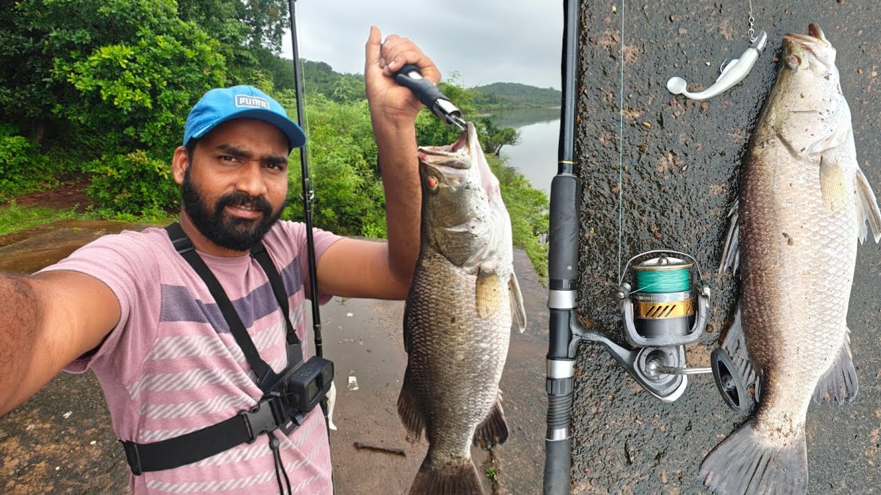 खाडीवरती पकडला सकाळीच पुन्हा जिताडा मासा , पावसाळ्यातील मासेमारी | Kokan fishing @TejaGurav