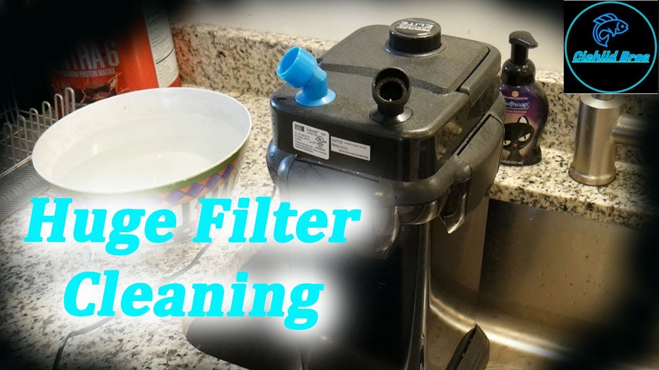 How to Clean Canister Filters | Penn Plax Cascade 1500