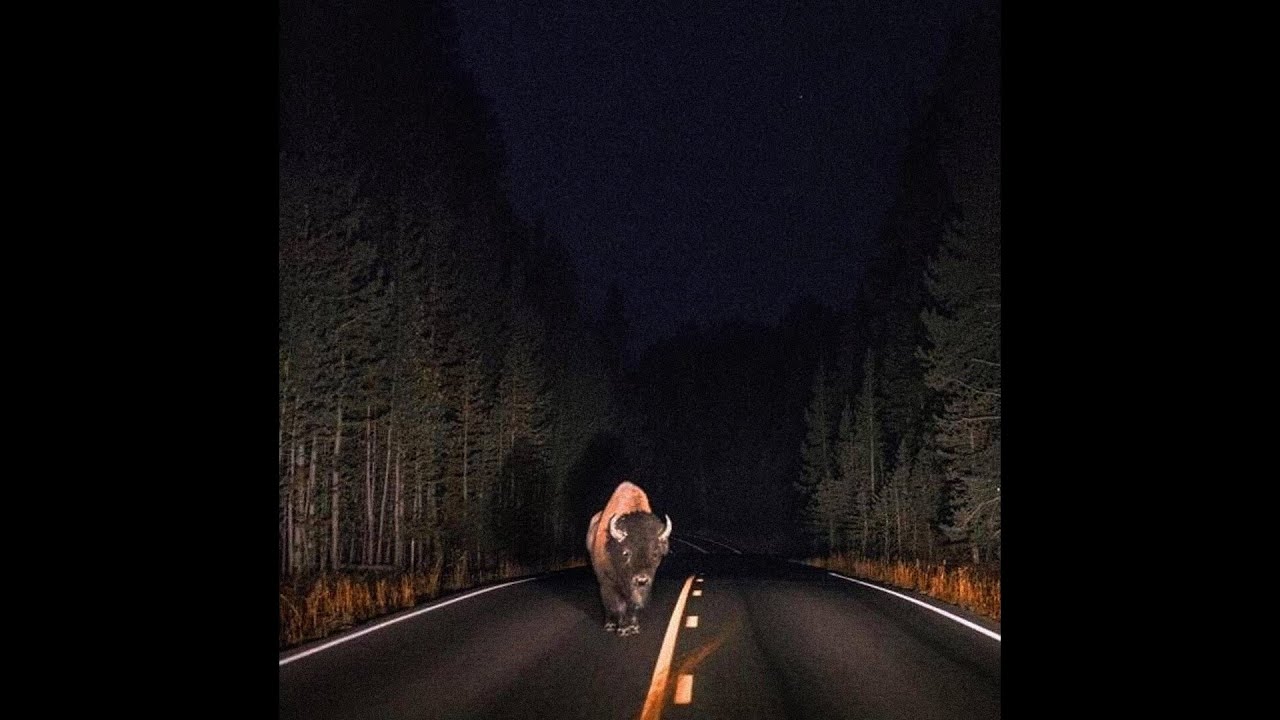 ✦ free indie alt + pinegrove type beat "head west"