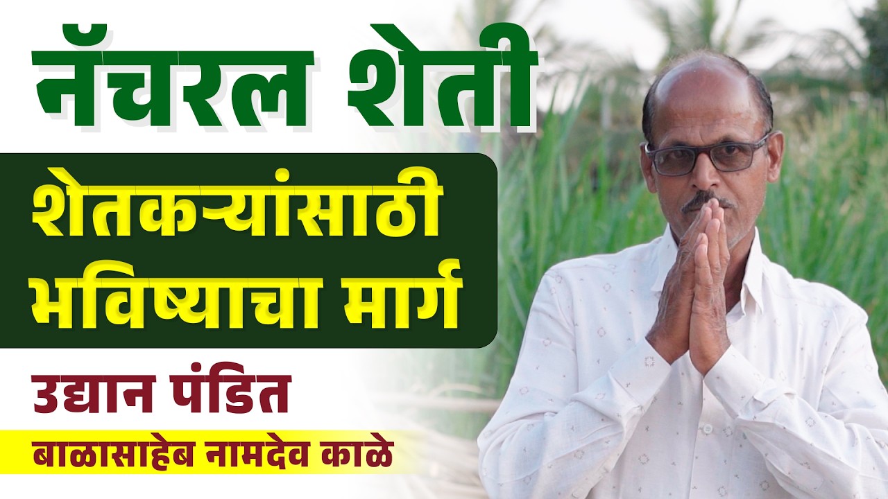 नॅचरल शेती – शेतकऱ्यांसाठी भविष्याचा मार्ग | बाळासाहेब नामदेव काळे