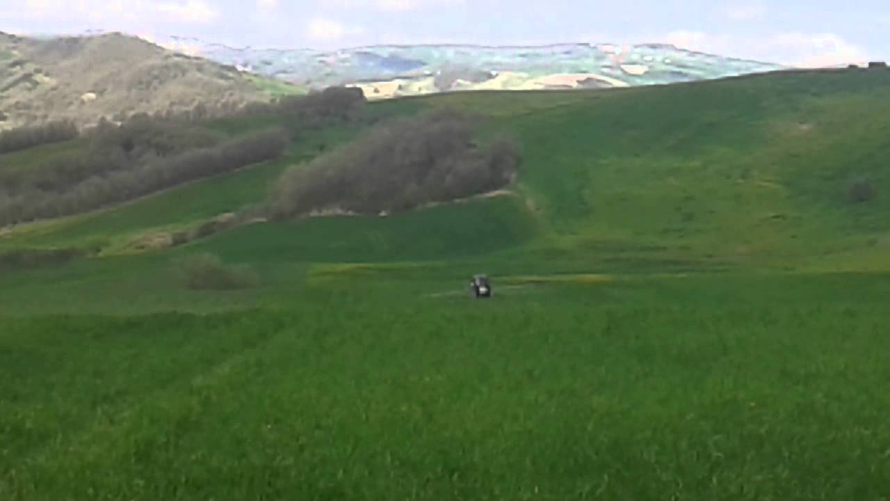 DISERBO GRANO DURO 2015