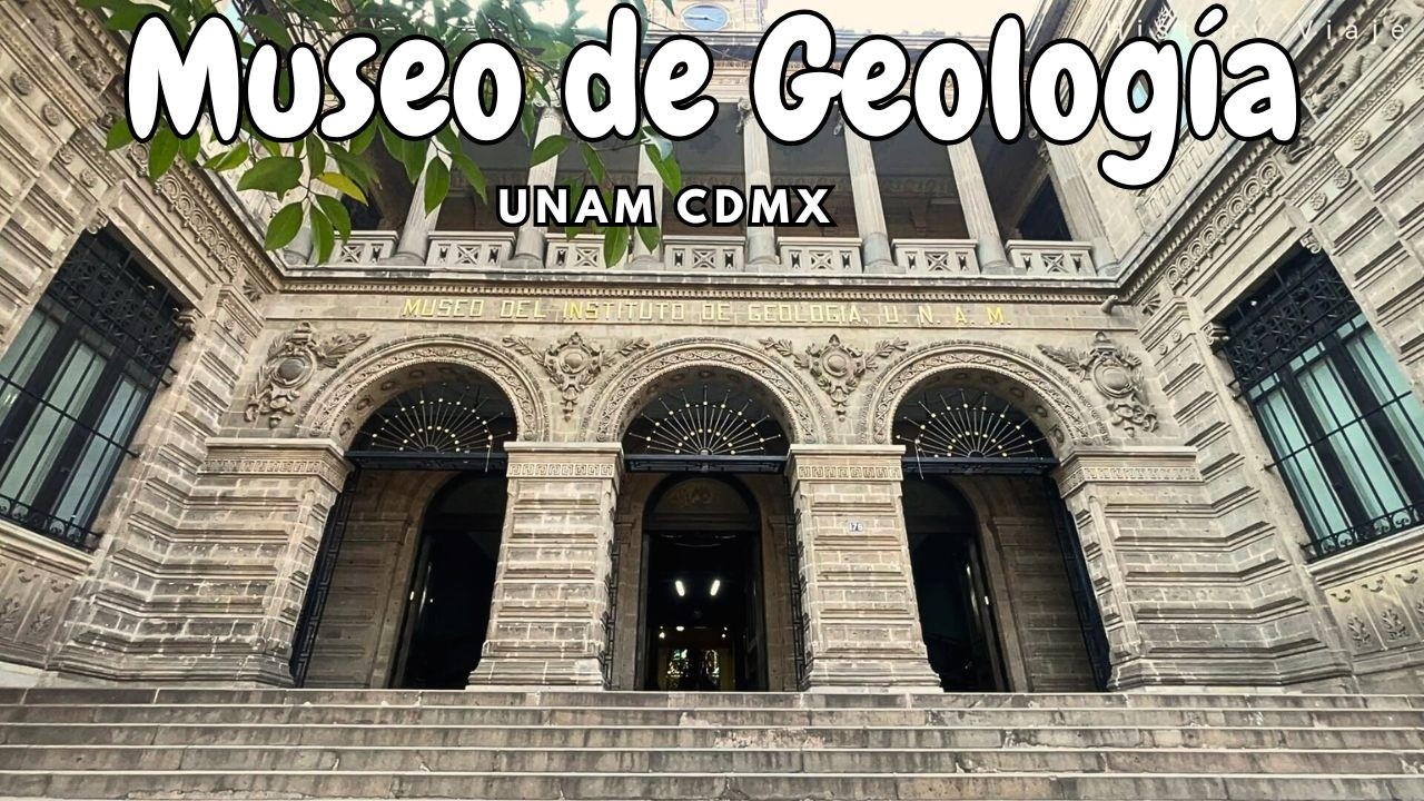 Dinosaurios, minerales y un edificio espectacular, tesoros en el corazón de Santa María la Ribera