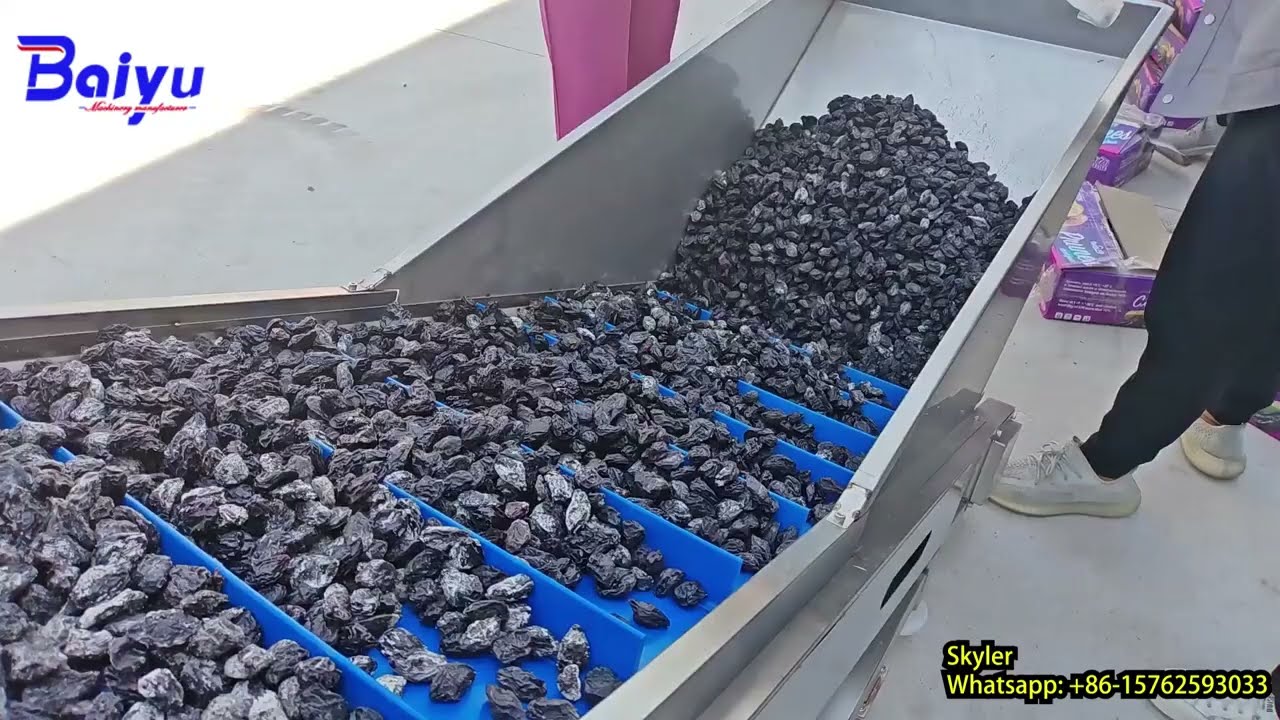Raisin cleaning and drying production line / Raisins washing and separating process