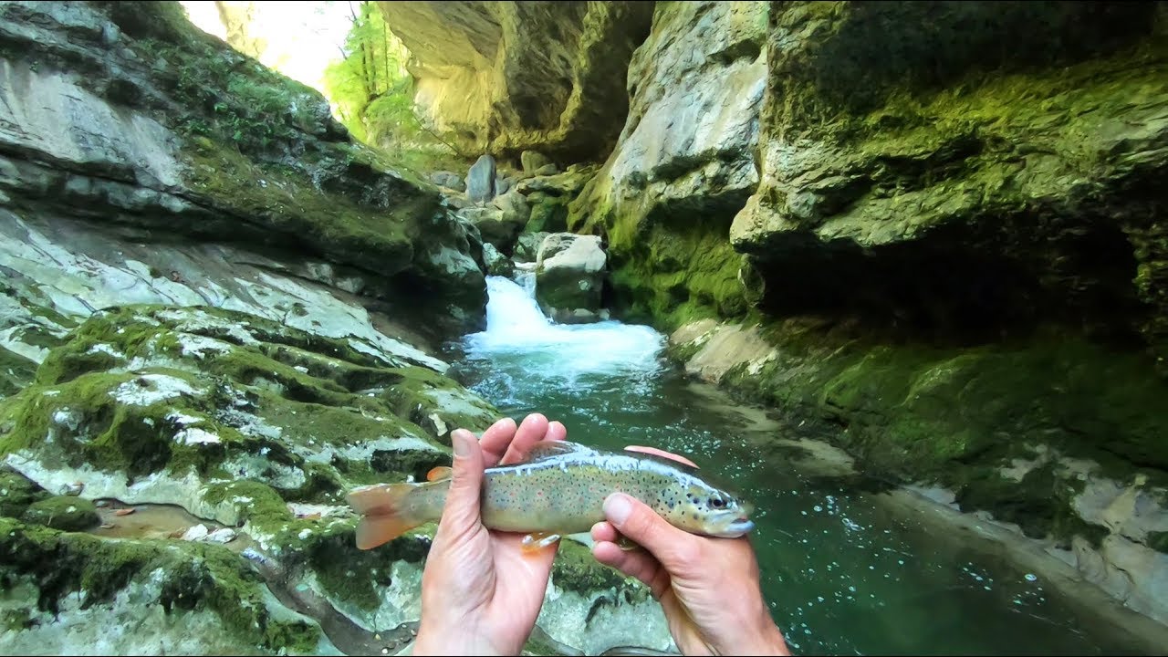 Pêche sportive de la Truite Fario dans un Paradis Grandeur Nature - Fario Mentos 2018