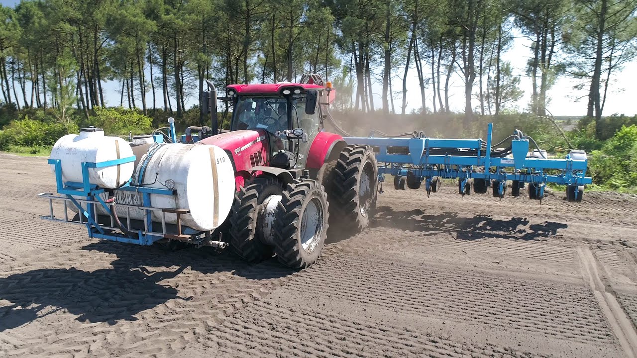SEMIS DE MA&Iuml;S EN JUIN ! 😮 16 RANGS Monosem dans les sables !