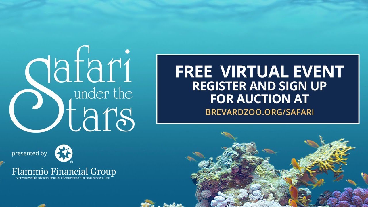 Brevard Zoo Safari Under the Stars 2021