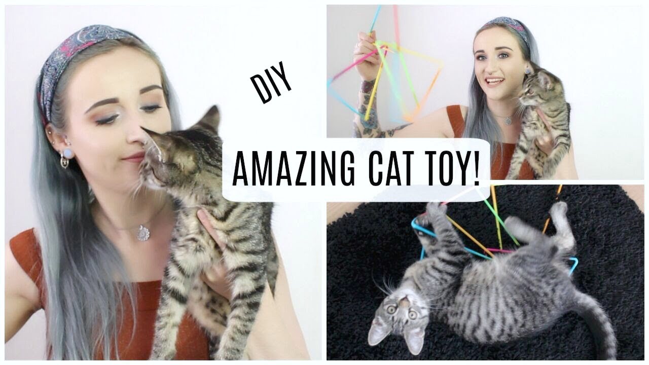 MOST AMAZING CAT TOY EVER! - DIY
