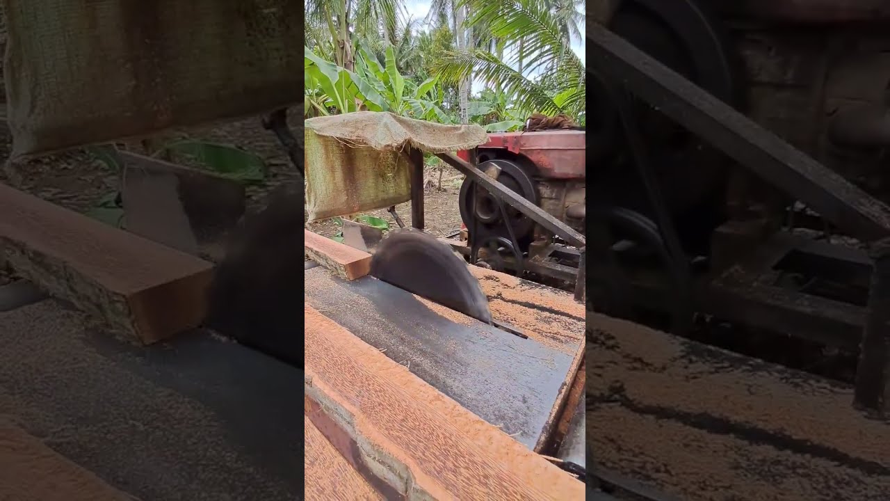 somel kayu kelapa, video sawmil pembuatan balok,,, #stihl #sawmill