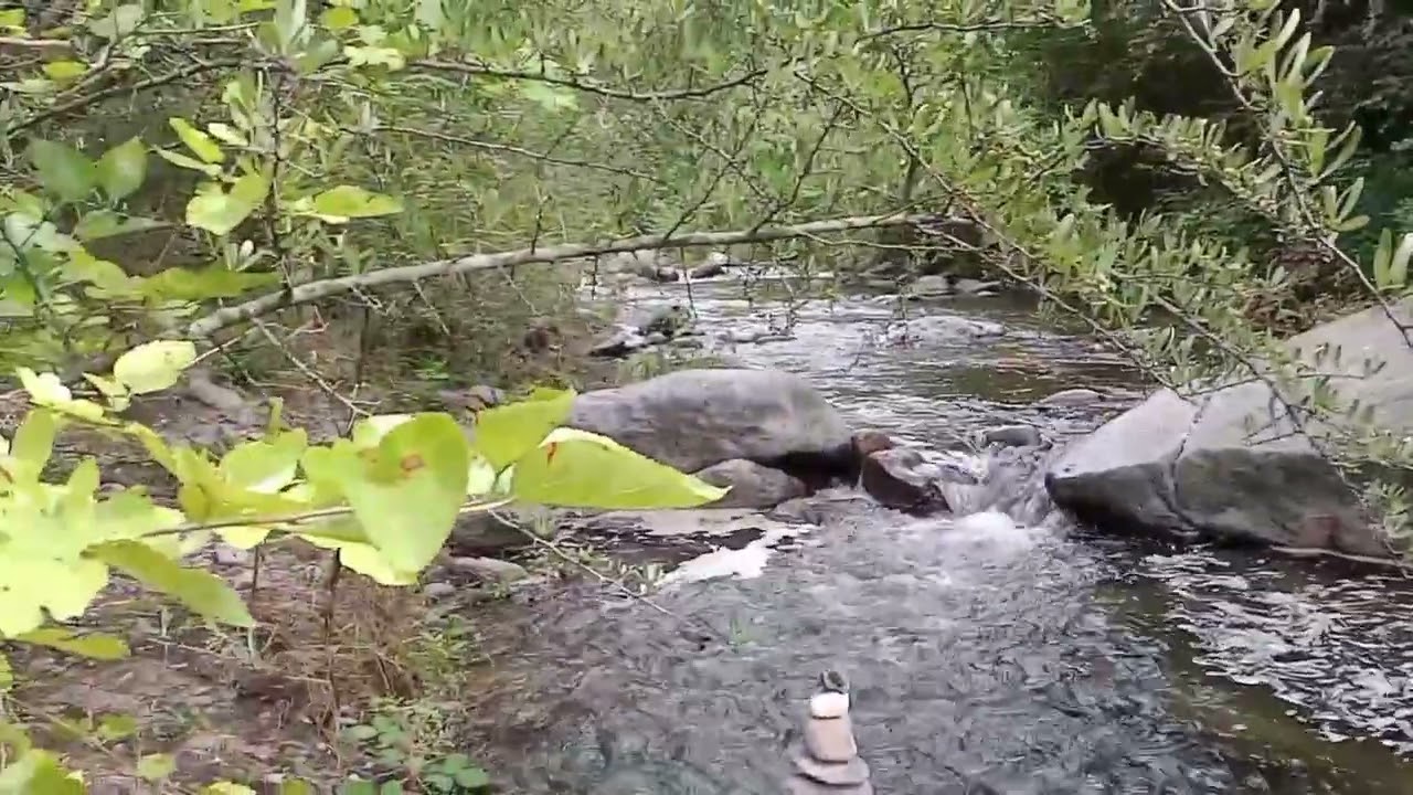 Hoy recorrimos un hermoso sendero! Reserva Tiu Mayu-La Granja/ Cordoba