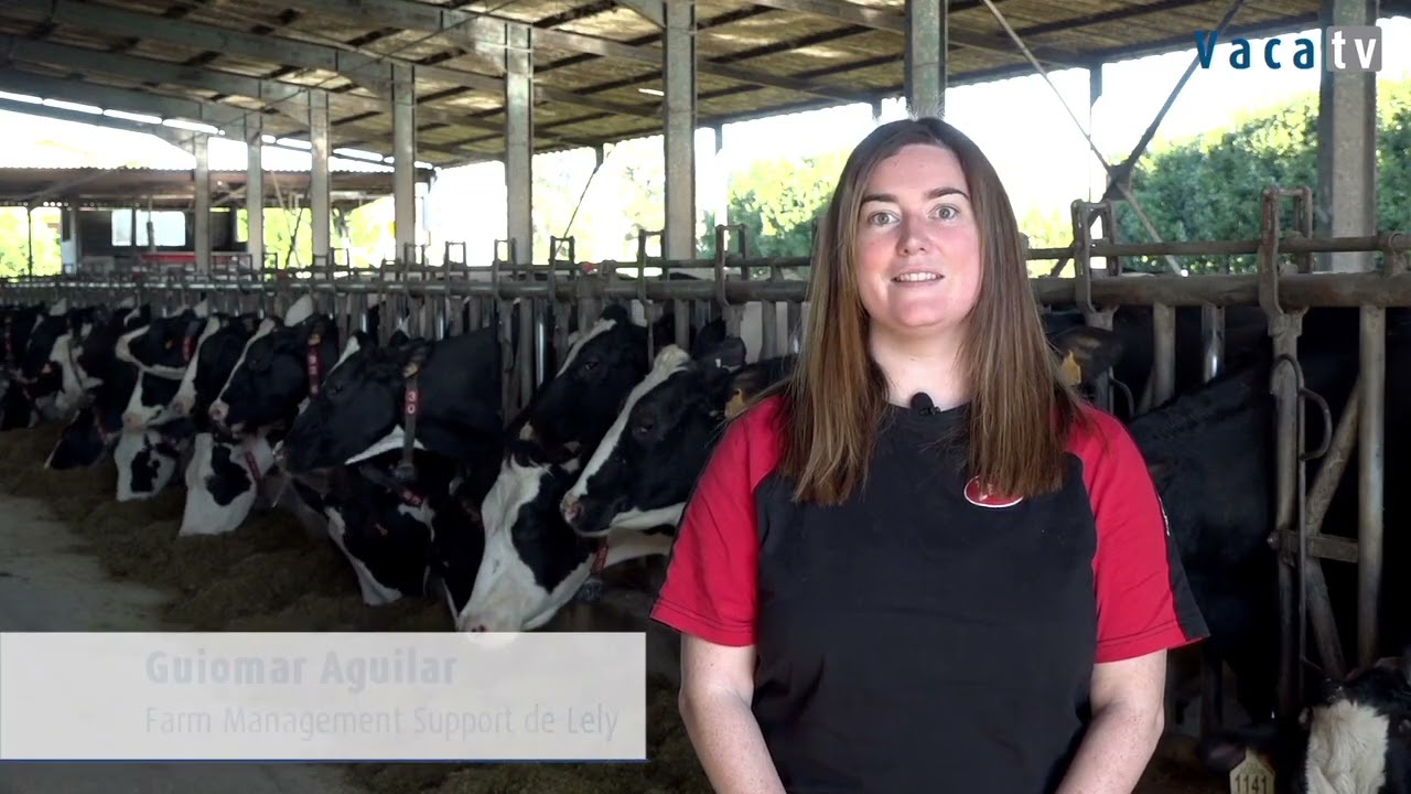 Lely - SAT Jogu