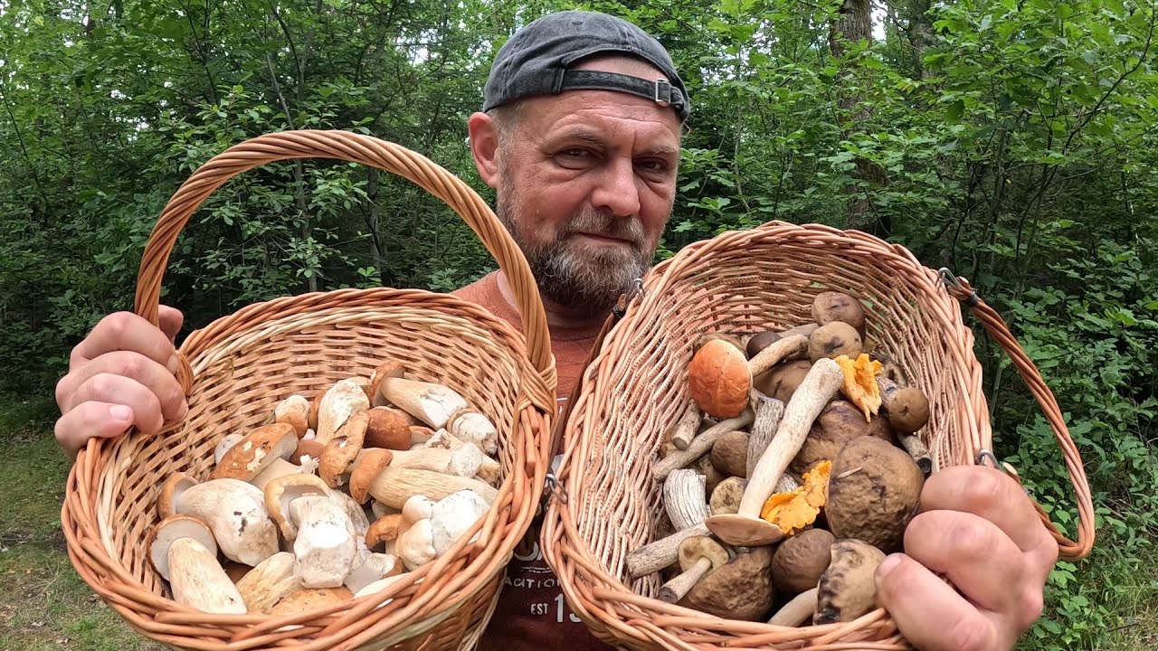 ГРИБИ Є! Навіть коли все вже ВИКОСИЛИ! 🍄+Секрет, як знайти БІЛЯКИ!