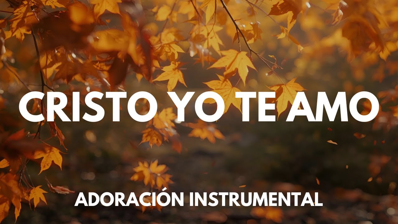 CRISTO YO TE AMO | ADORACIÓN INSTRUMENTAL // MOMENTO PARA ORAR Y MEDITAR 🙏✨