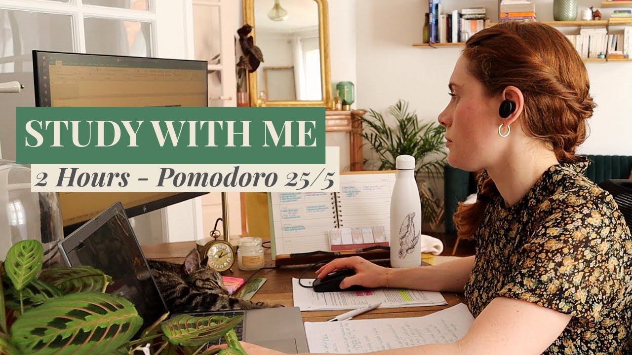 2H STUDY WITH ME | Deep Focus with my Cat and Bird Sounds in my Parisian Apartment