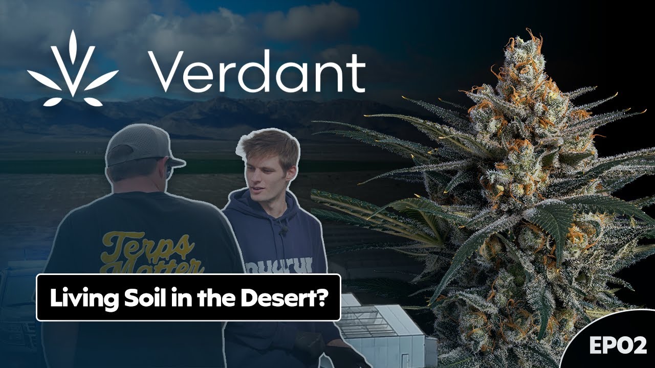 Inside Verdant | Arizona's Largest No-Till Living Soil Grow