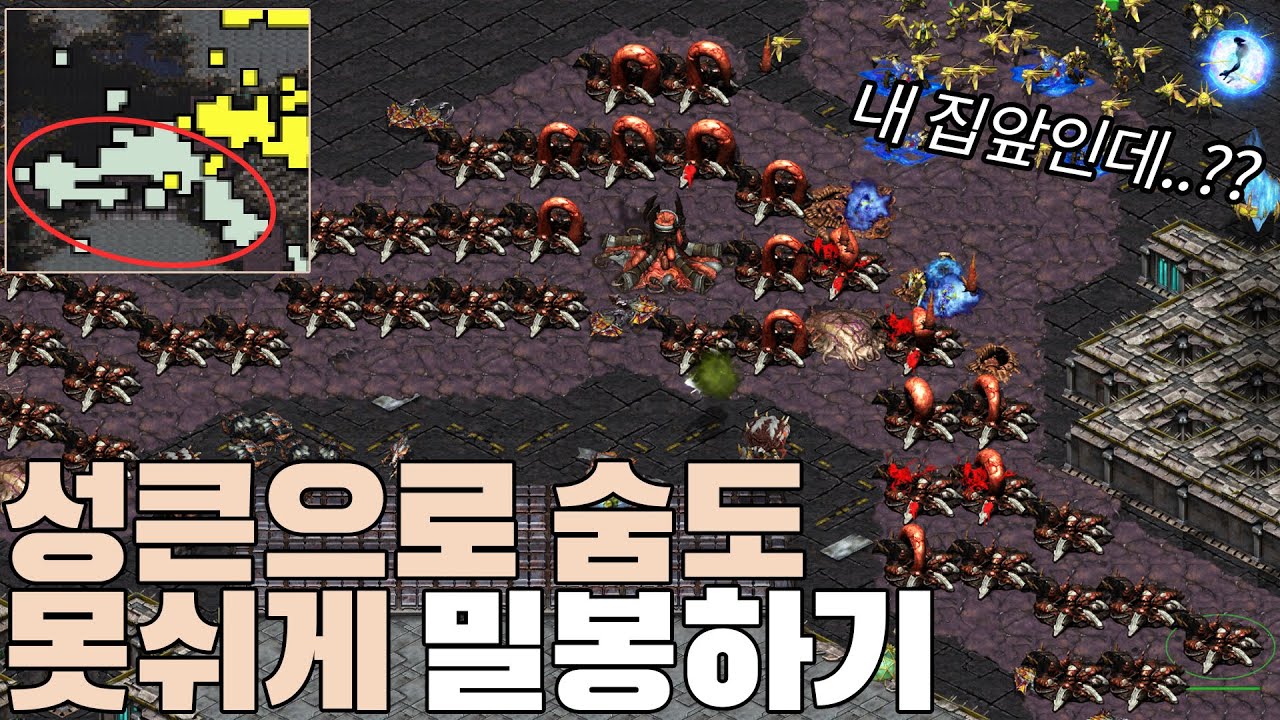 성큰으로 상대를 못나오게 가둬봤습니다ㅋㅋ