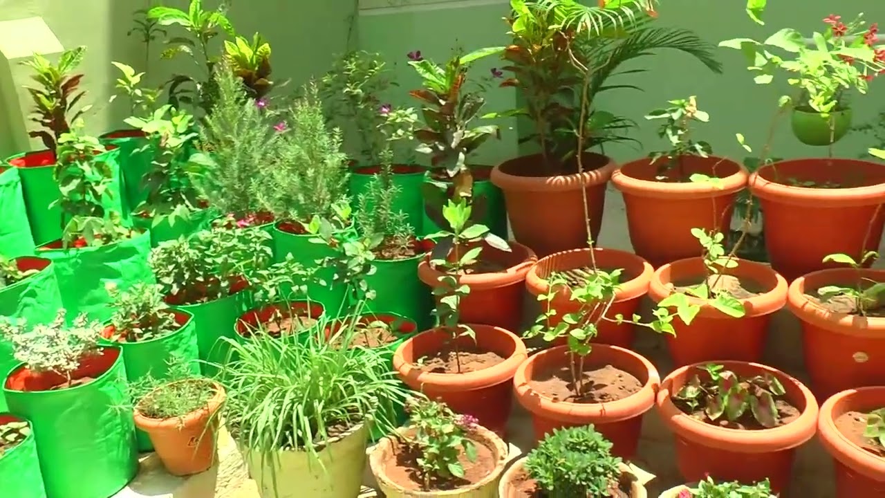 A Walk Through Our School Where Learning Begins