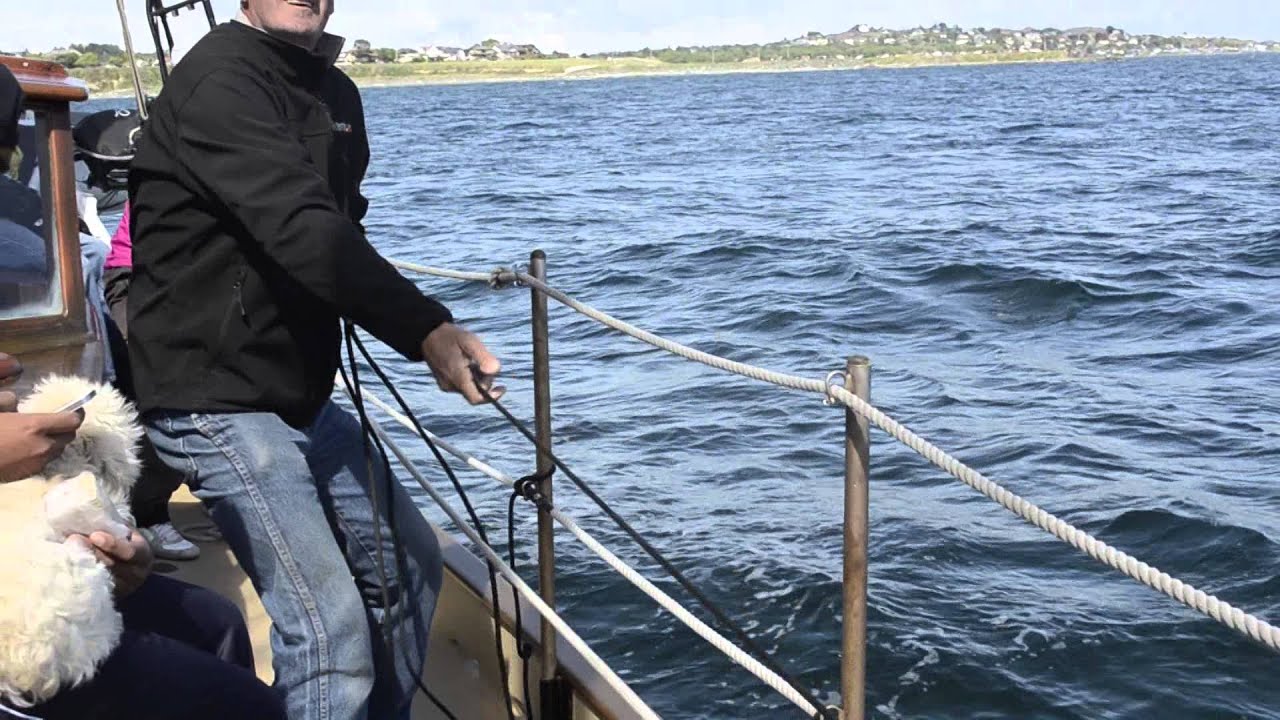 3 Hour Sail - Tall Ship Thane in Victoria, BC