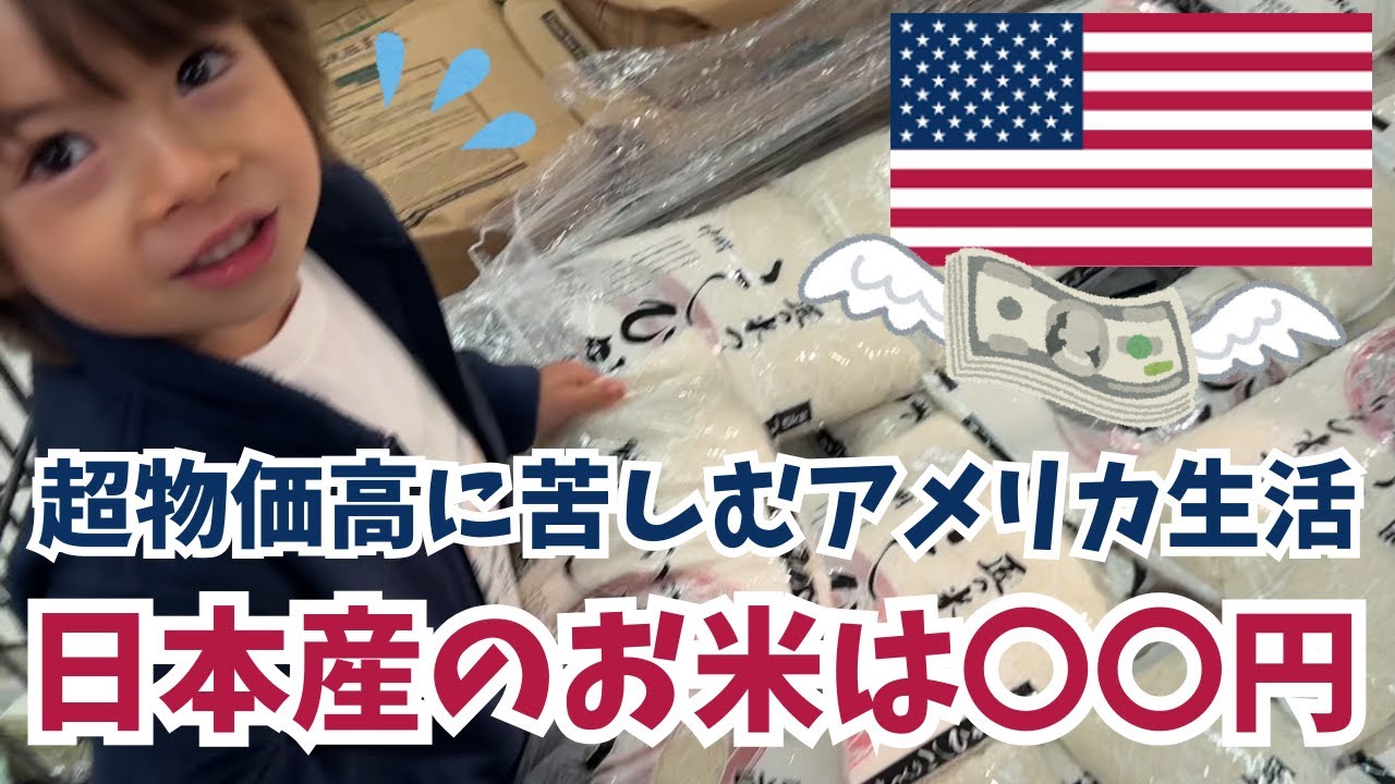 【日系スーパー】超物価高に苦しむアメリカ生活。日本ブランドのお米は果たしていくら？| 国際結婚｜海外生活｜バイリンガル育児
