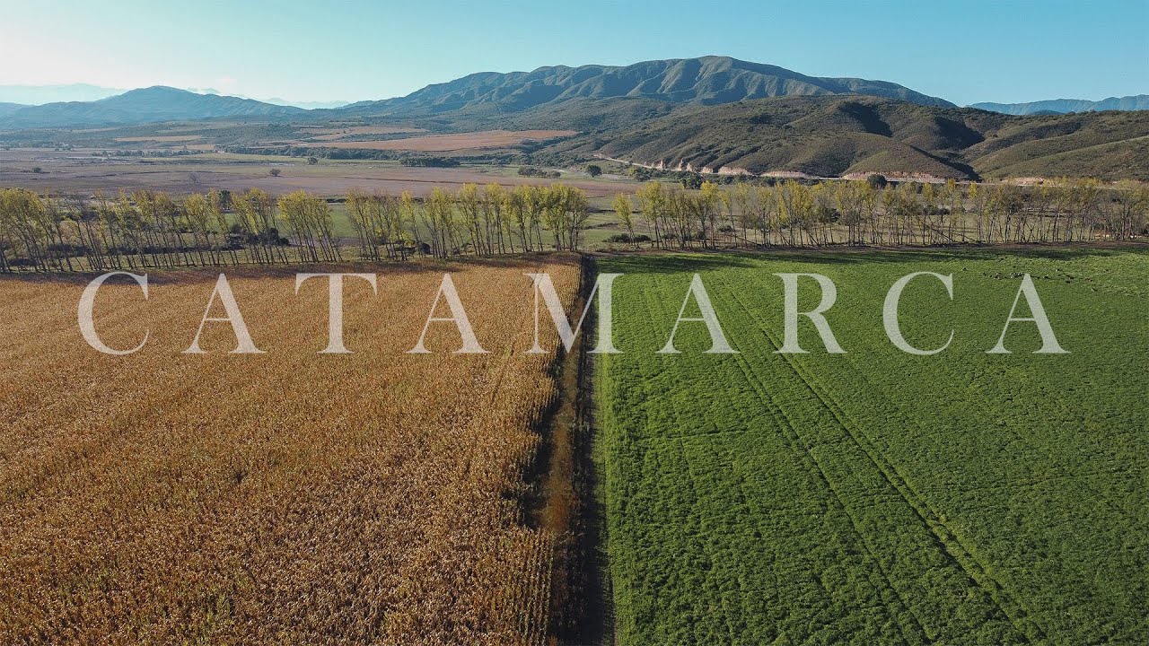 Campo Productivo en venta - Catamarca