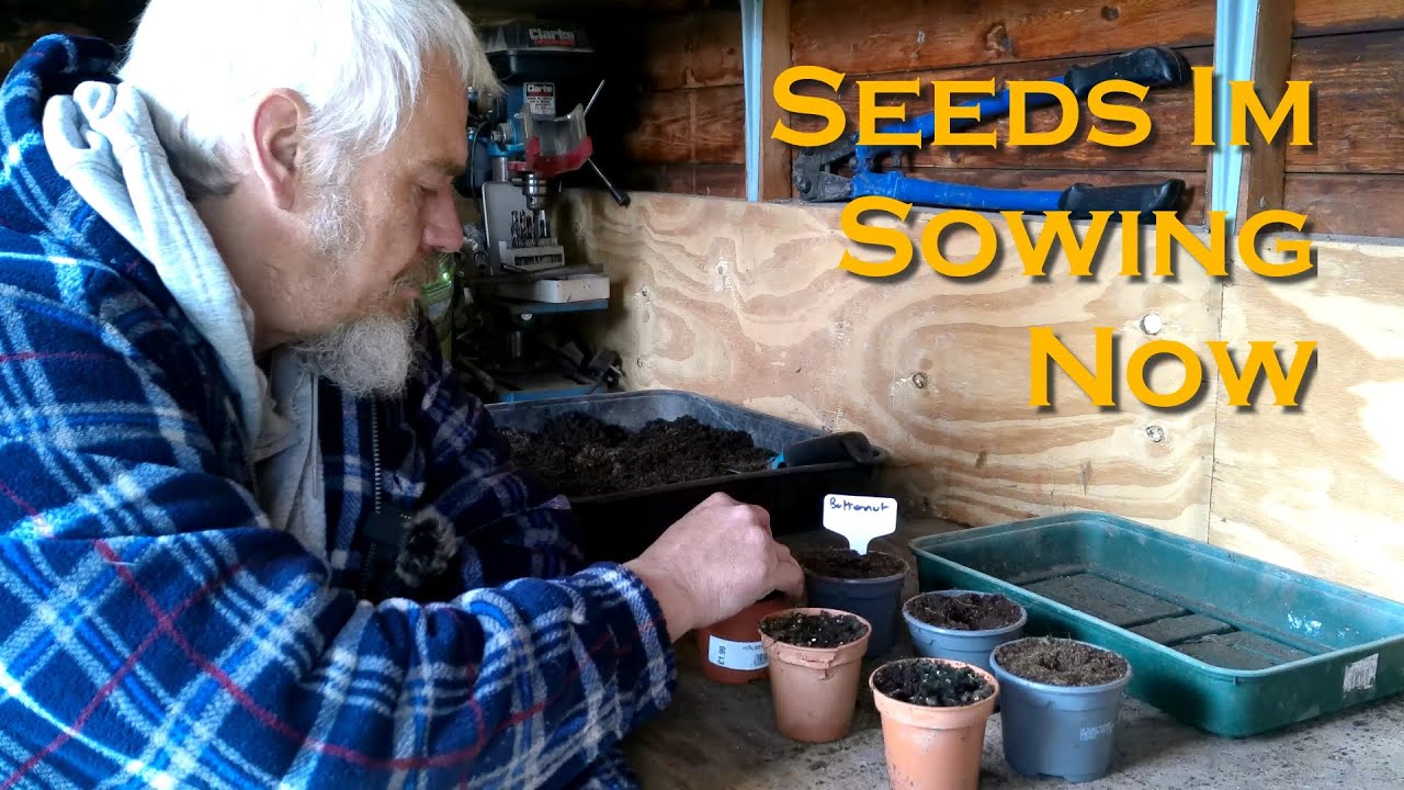 Seeds Im Sowing Now