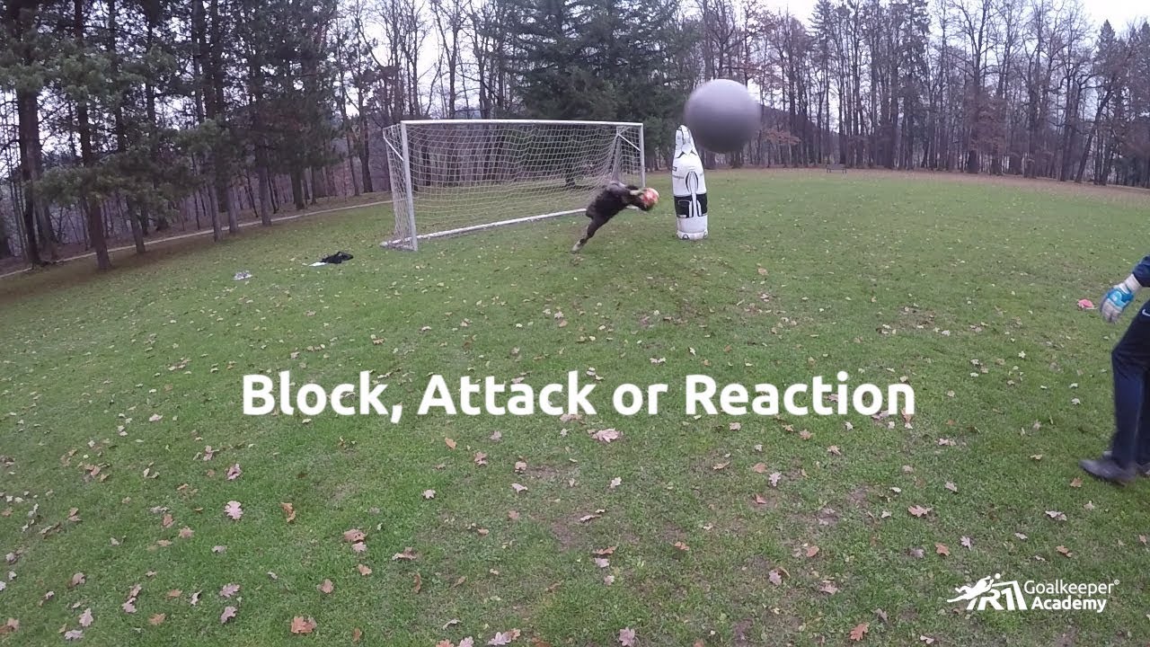 Goalkeeper training: Block, attack or reaction