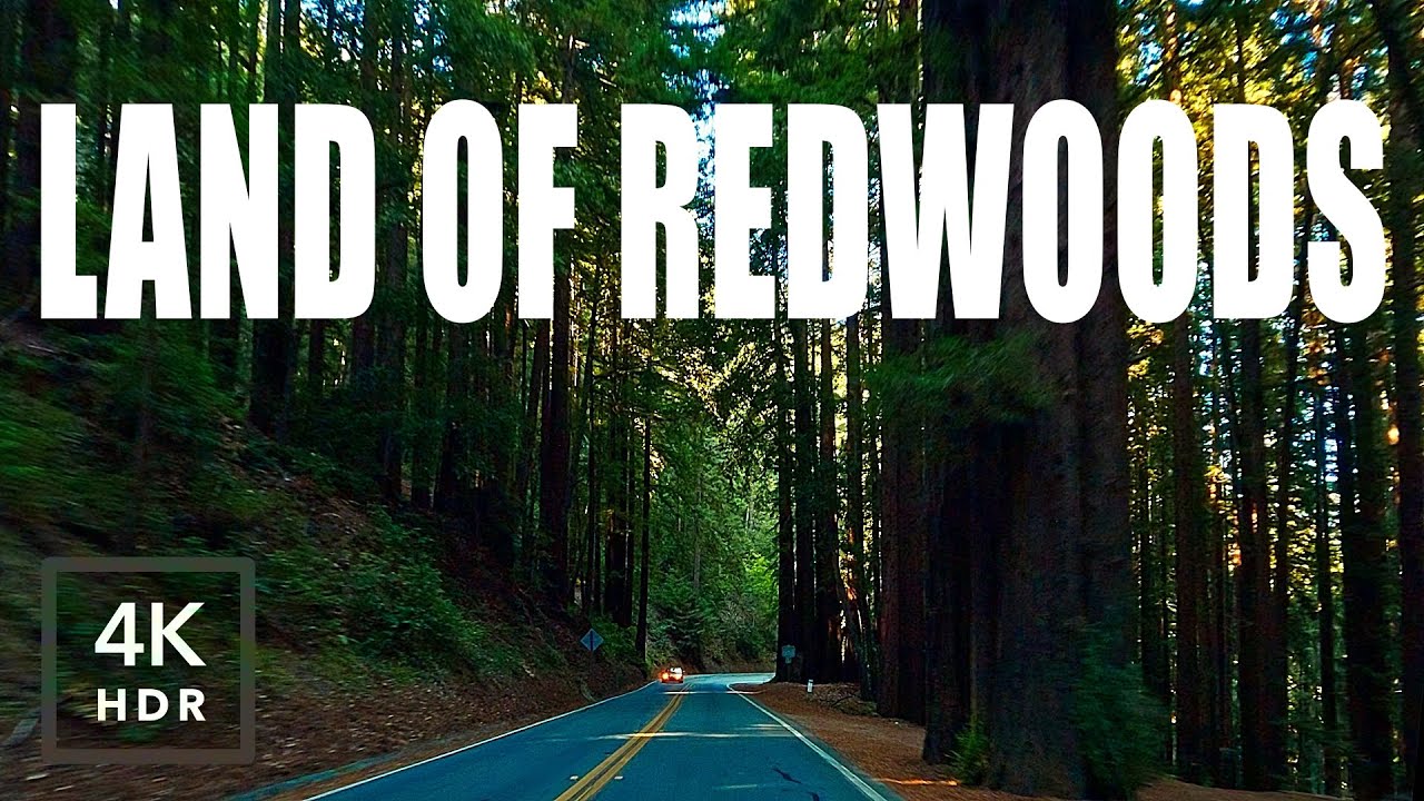 Land of Redwoods – California Highway 9 Scenic Mountain Drive [4K HDR]