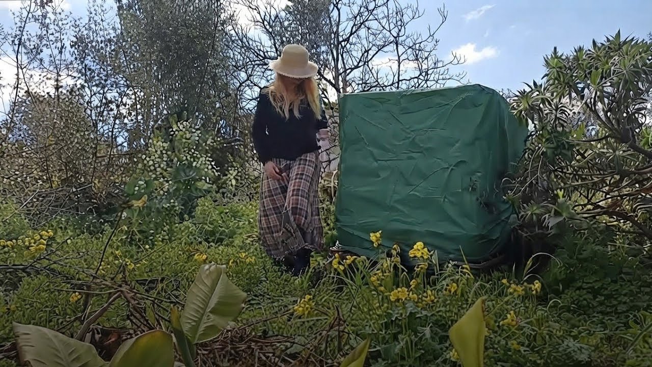 My Simple Life in a Portuguese Village