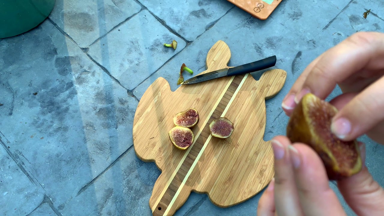 Longue d'Aout and Niceta fig tasting, could they be the same?