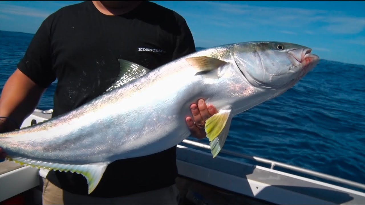 The Edencraft team chase kingies, samsons & tuna off Tumby Bay in SA [excerpt from Edencraft TV)