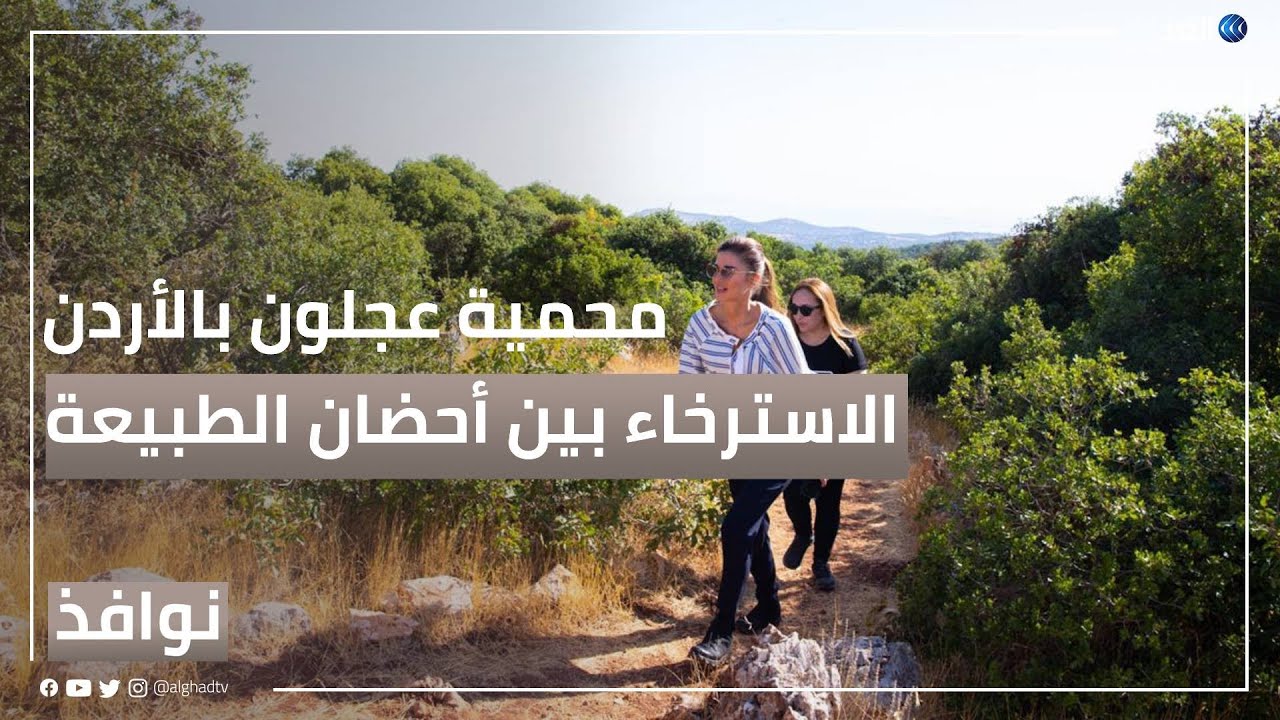 محمية عجلون بالأردن.. تجربة الاسترخاء بين أحضان الطبيعة | #نوافذ