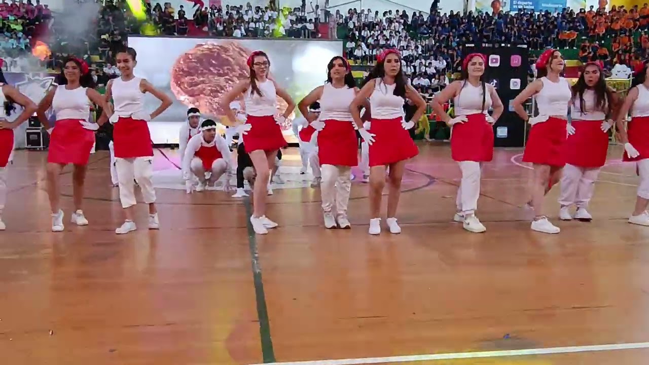 GATO CON BOTAS - Coreografía grado 11 colegio santa Teresita Floridablanca