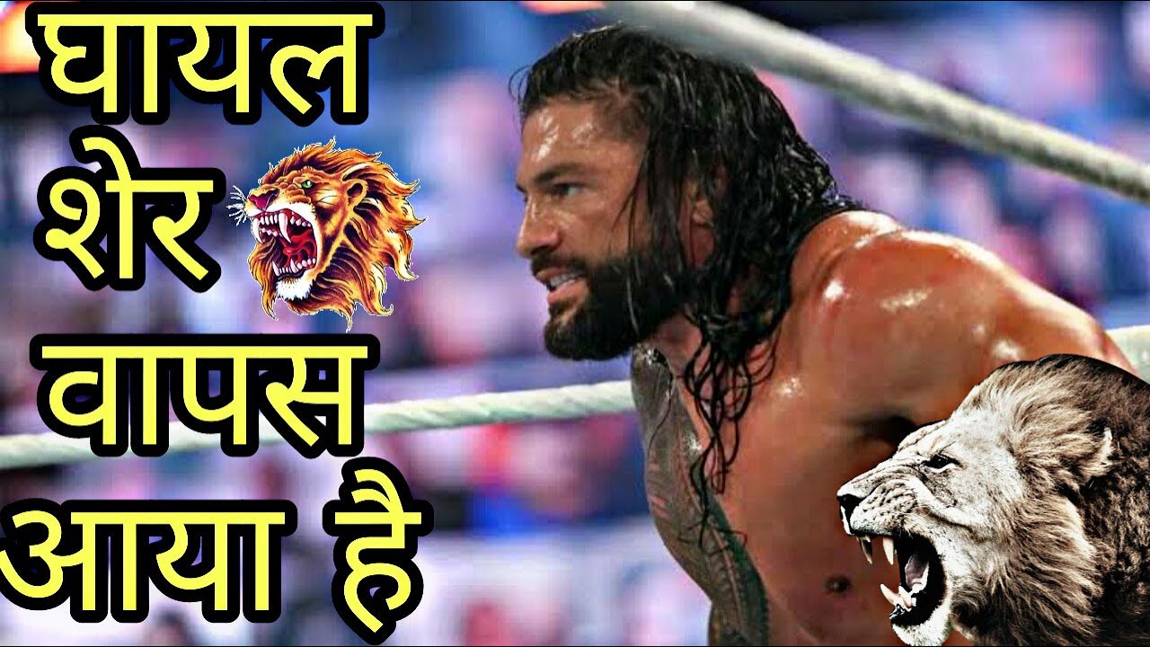 घायल शेर वापस आया है | lion is back | roman reigns| wwe funny desi dubbing | kL jhalani