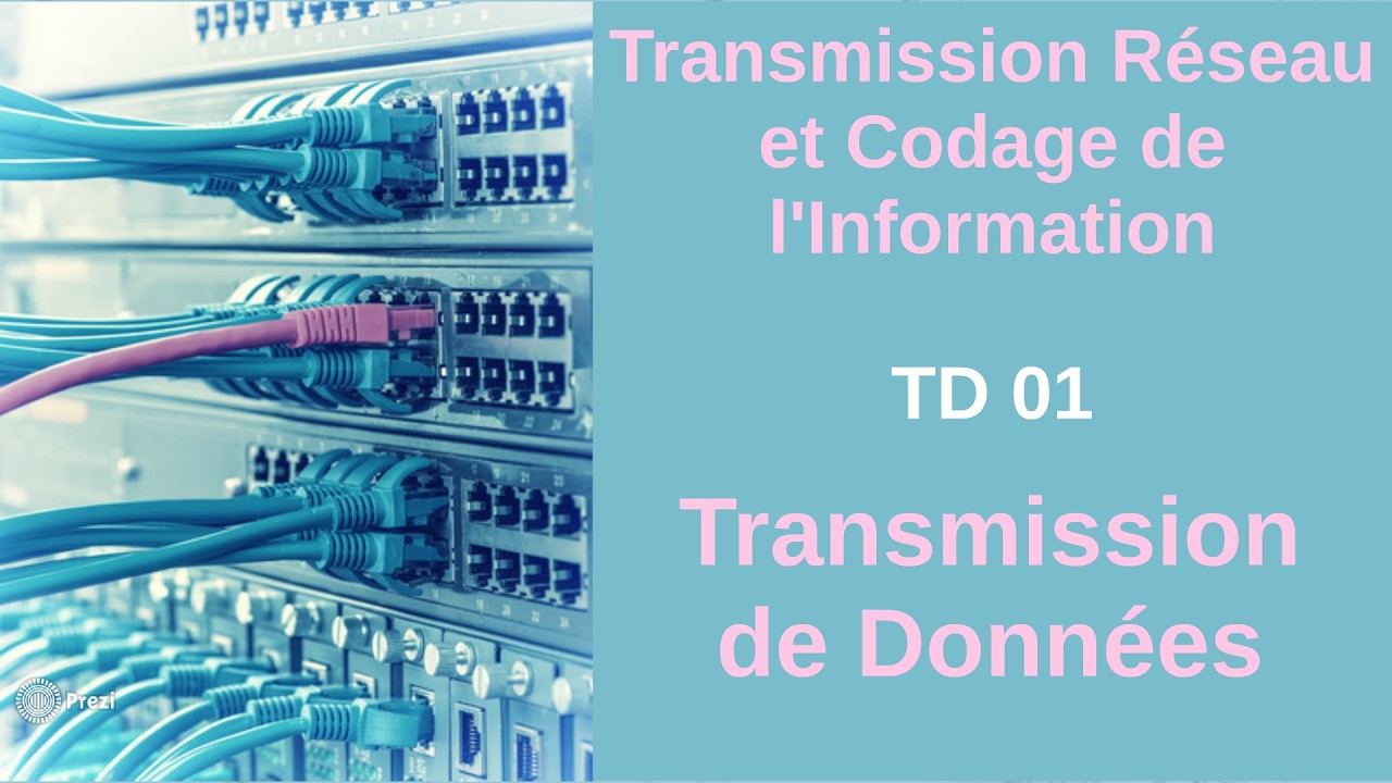 TRCI : TD 01 : Transmission de Données - L2 GTR