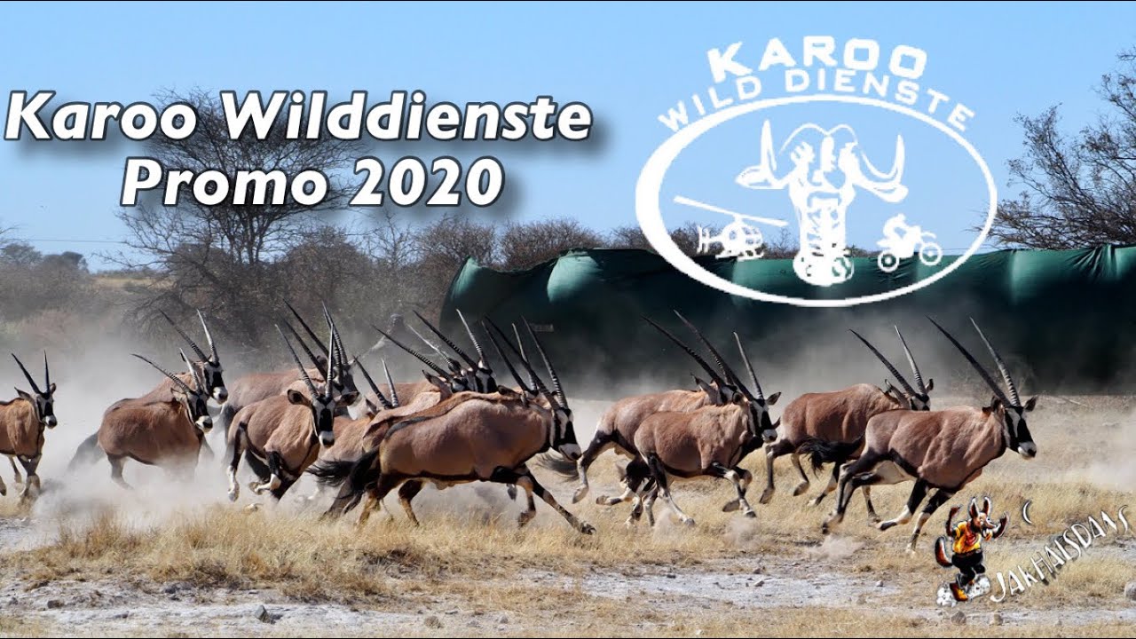 Karoo Wilddienste 2020