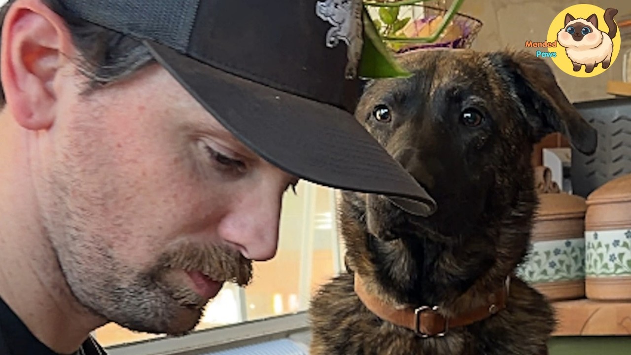 This Rescue Dog Completely Melts Whenever She Sees My Husband