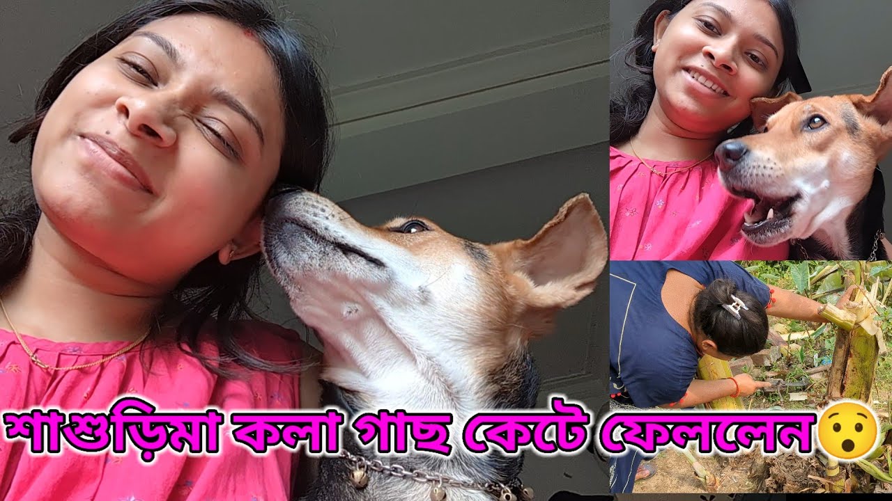 শাশুড়িমা একটা কলা গাছ কেটে ফেললেন 😯 ll Creative Piyasha ❤️ #vlog #dailyvlog #viral