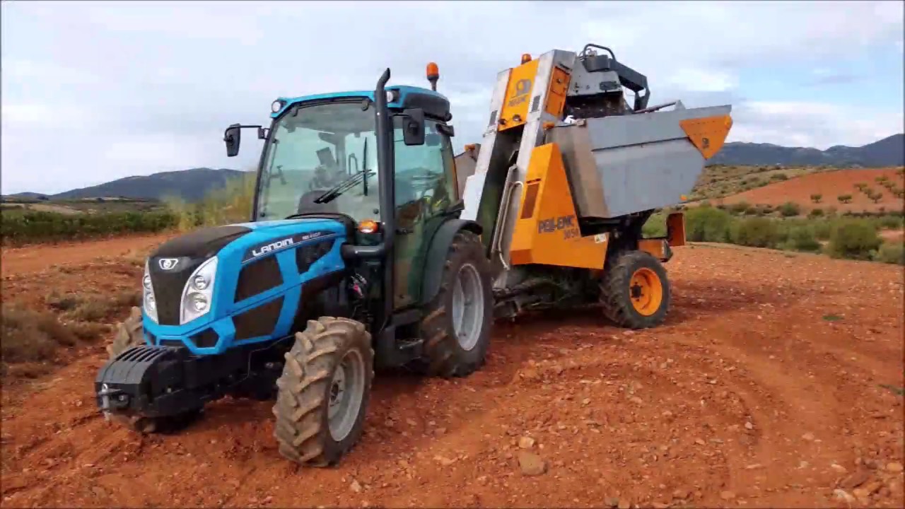Vendimia mecanizada 2019 - LANDINI REX4 - 110F / PELLENC 3050