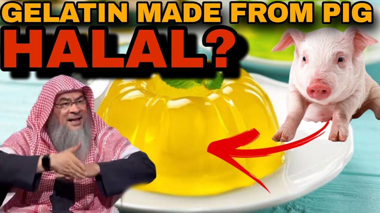 Is it Halal to Eat GELATIN Made from Pork? || Sheikh Assim Al Hakeem