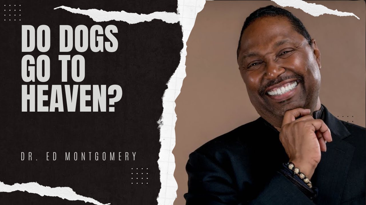 3.24.24 - Do Dogs Go To Heaven? Where Does Christianity Come From?