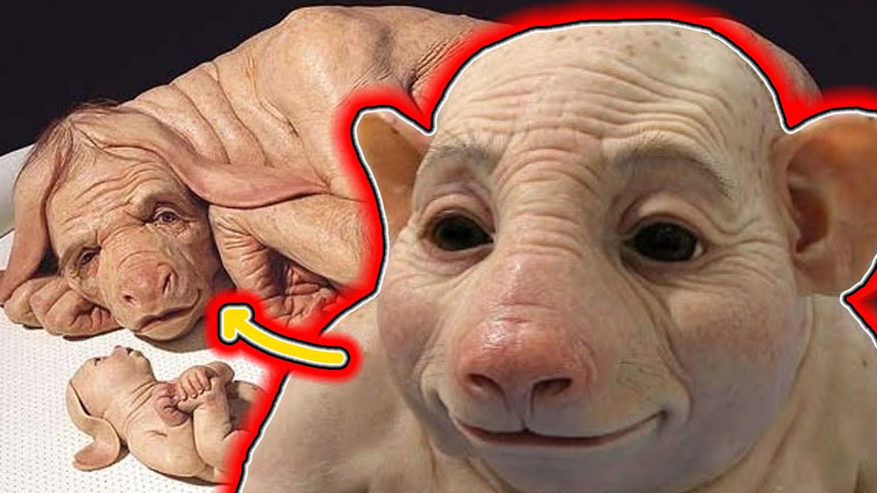 Scientists create HUMAN ANIMAL HYBRIDS!