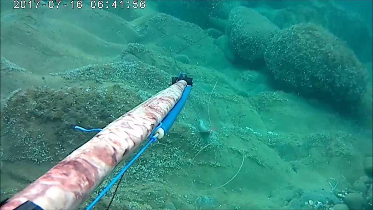 pesca sub Prova elastici Rob Allen