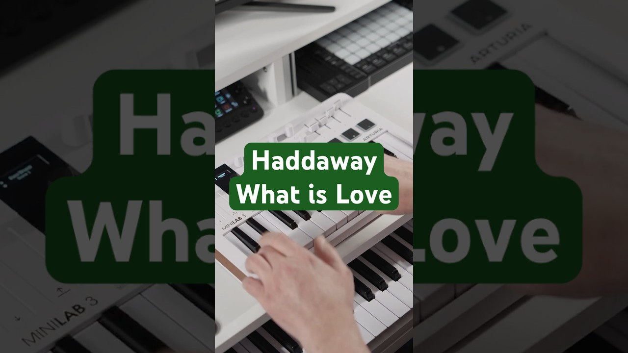 Haddaway - What Is Love (Live Loop Cover) MiniLab 3 #ableton #livelooping #minilab3