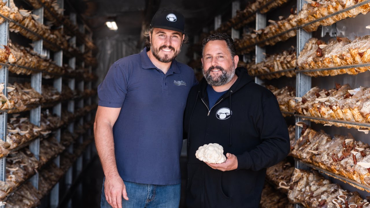 How are mushrooms grown? Let's ask the mushroom farmers at Far West Fungi!