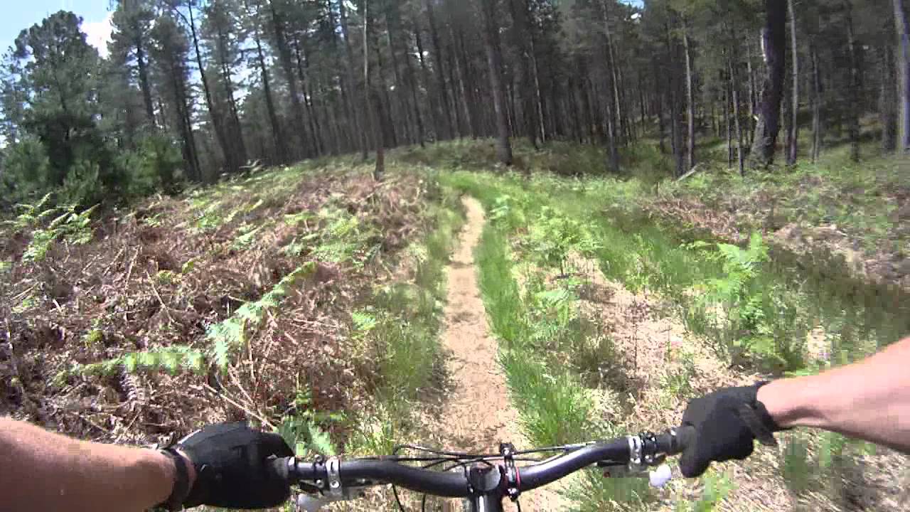 Wareham Forest. Gore Heath MTB Trails. GoPro HD.