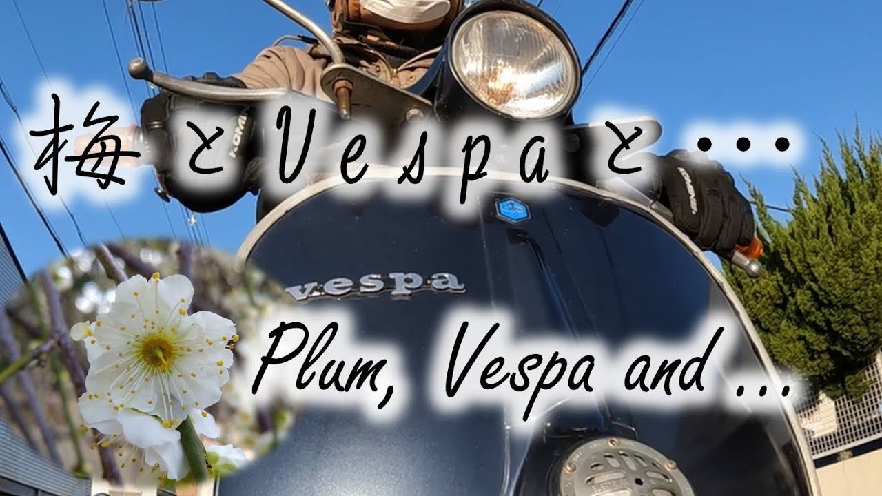 梅とVespaと・・・
