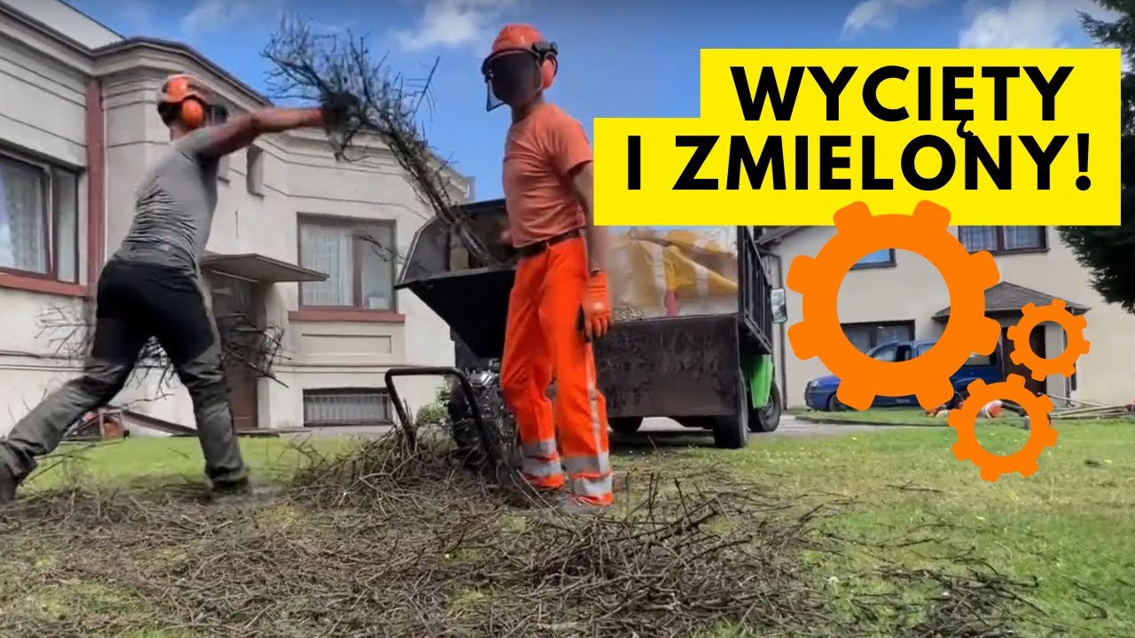 ALPINISTYCZNA WYCINKA MARTWEGO ŚWIERKA
