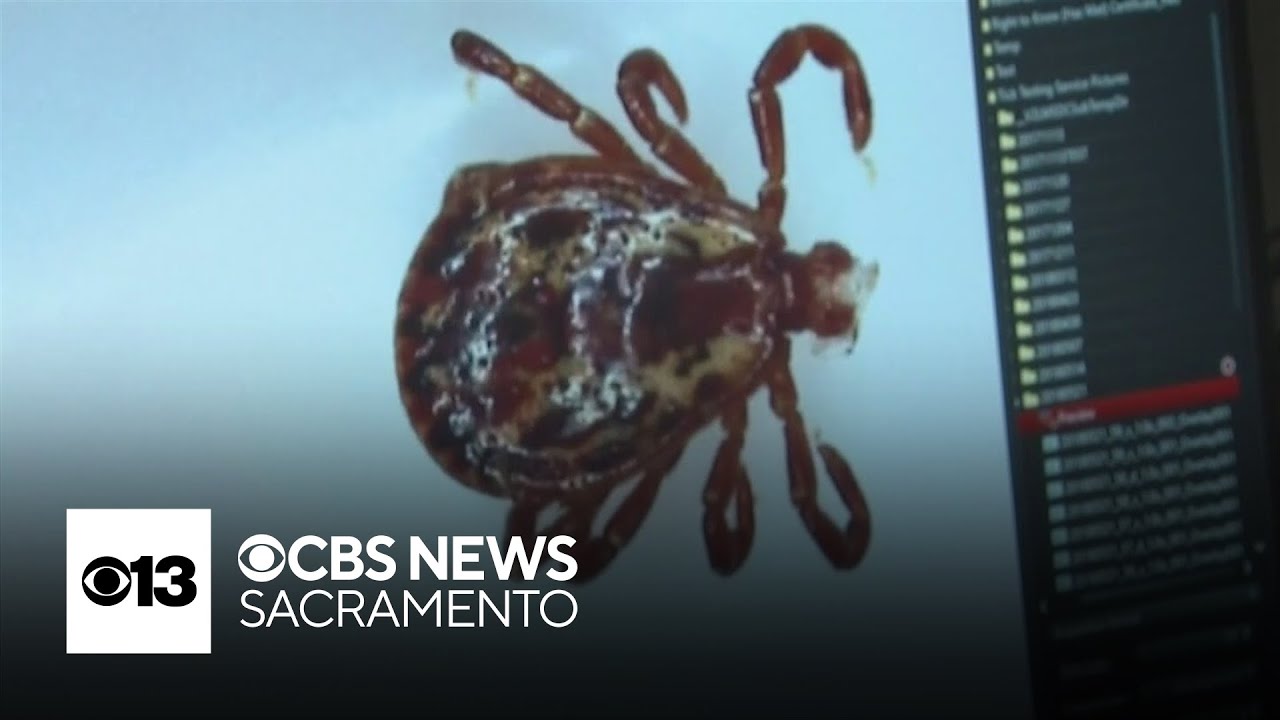 Tick-borne illness spreading rapidly in California