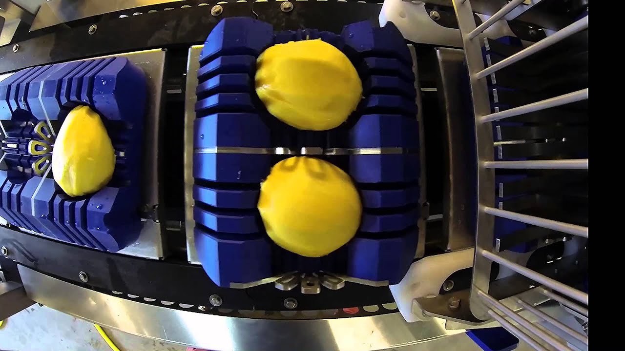 Cube Slicer Mango